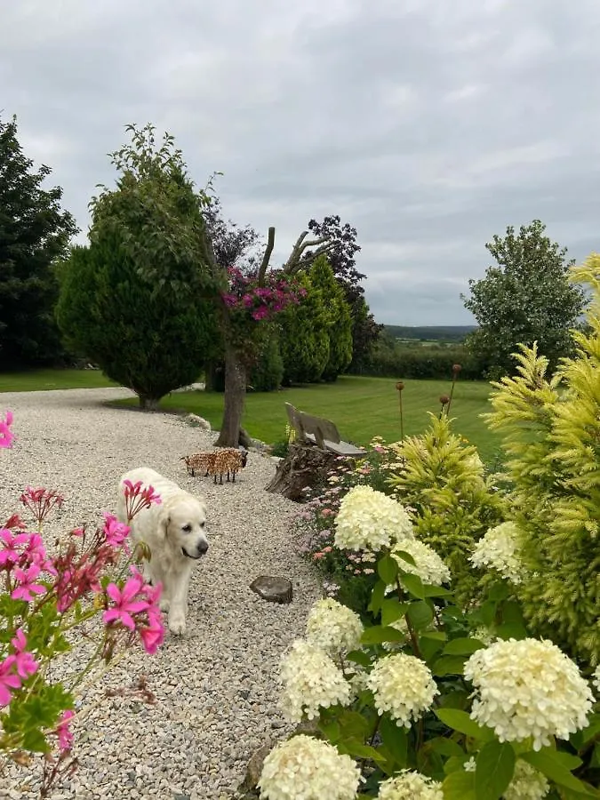 Bed & Breakfast Ticketyboo Suites Pickering United Kingdom